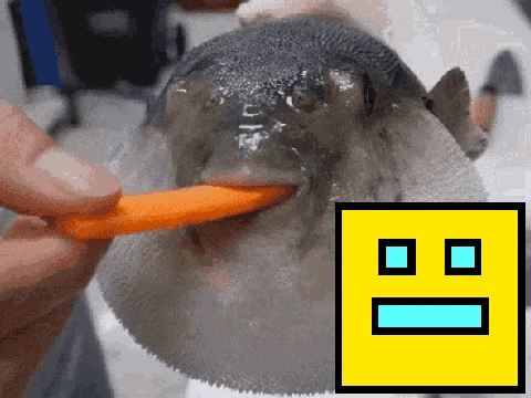 Play Geometry Dash but Pufferfish eating a carrot fun level