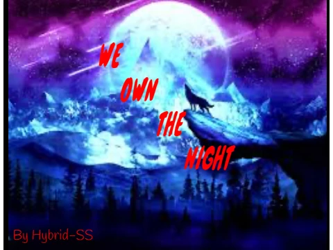 We Own The Night Remix game logo and cover art